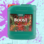 Canna Boost Accelerator 5L Green Bottle Jerry can 5 Litre 5 Liter