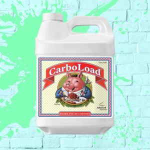 
            
                Load image into Gallery viewer, Carbo Load - Advanced Nutrients - White bottle - 10L
            
        