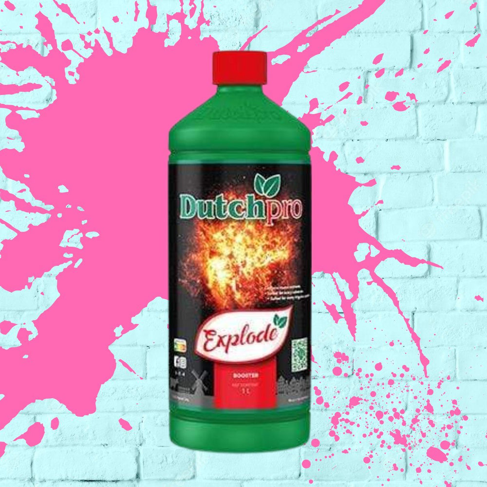 Dutch Pro - Explode - Green bottle - 1L