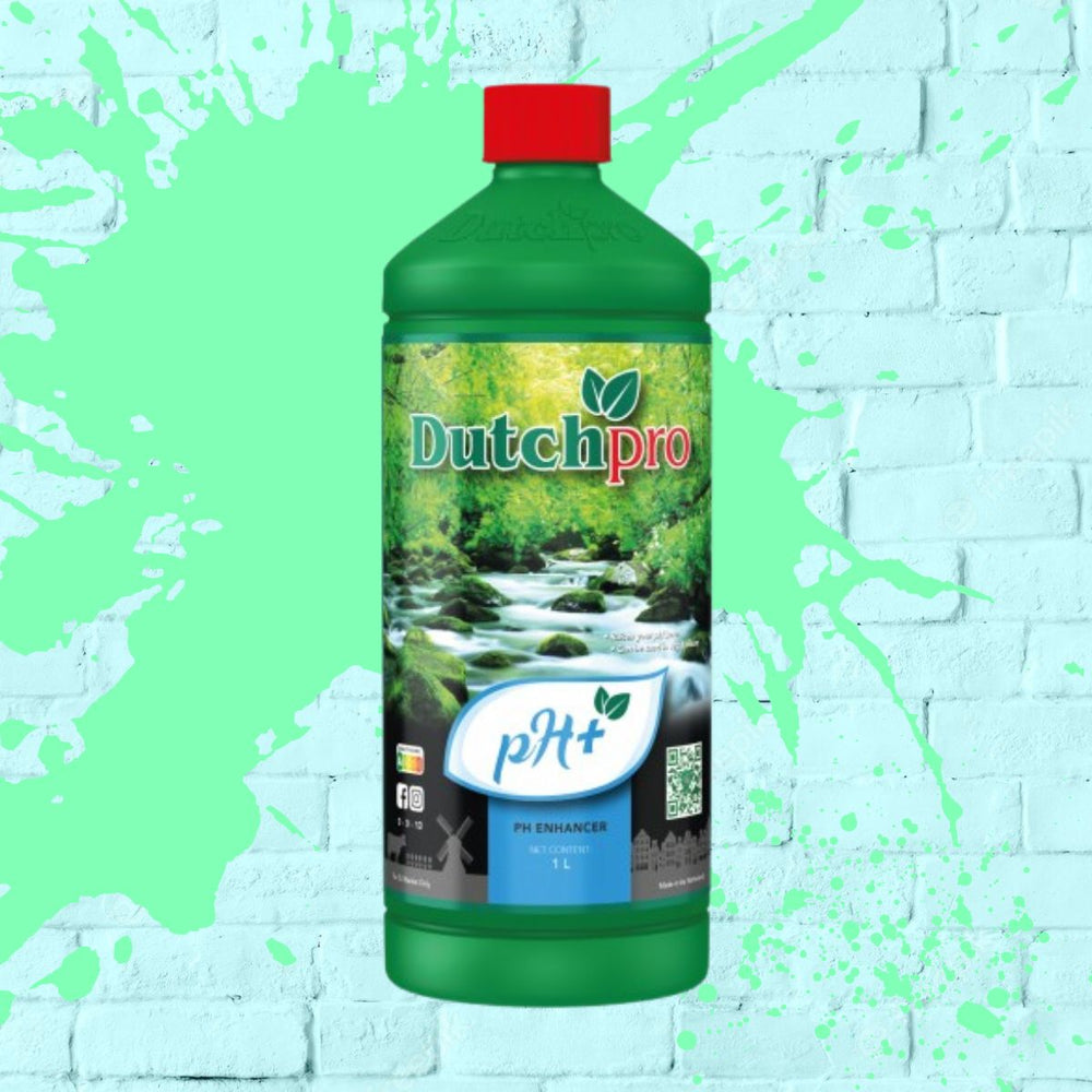 Dutch Pro pH up Green bottle 1L