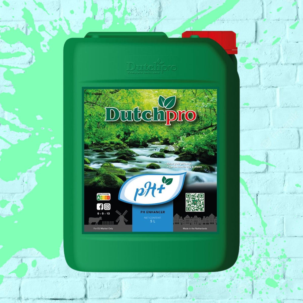 Dutch Pro pH up Green bottle 5L