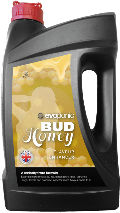 Evoponic - Bud Honey
