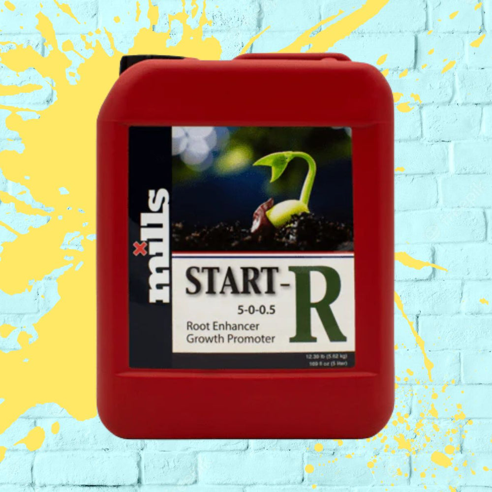 Mills Basis - Start -R red bottle 5L