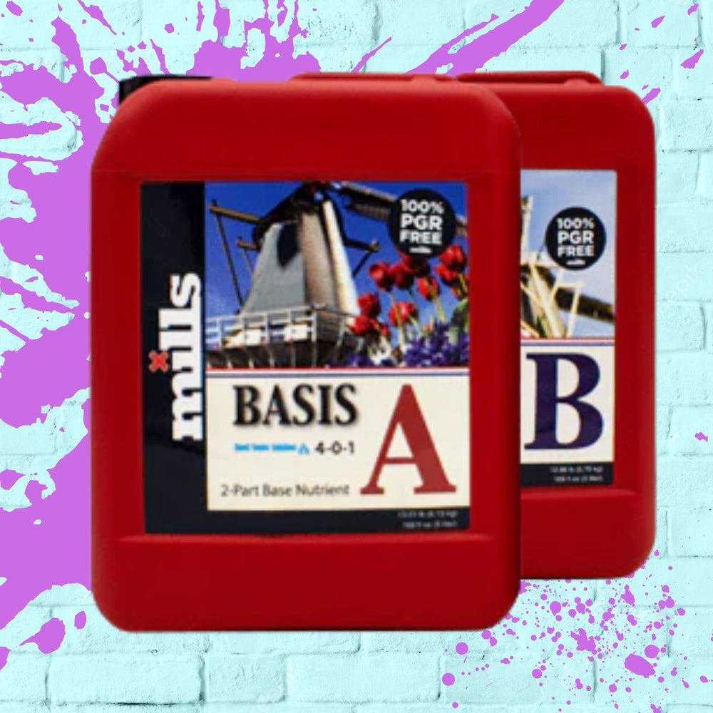 Mills Basis - A + B red bottle 5L