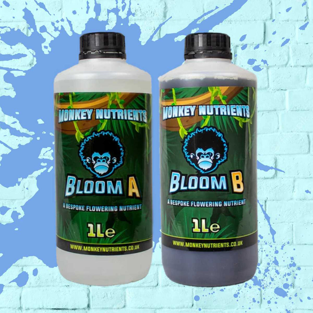 Monkey Nutrients - Bloom A+B clear bottle - 1L