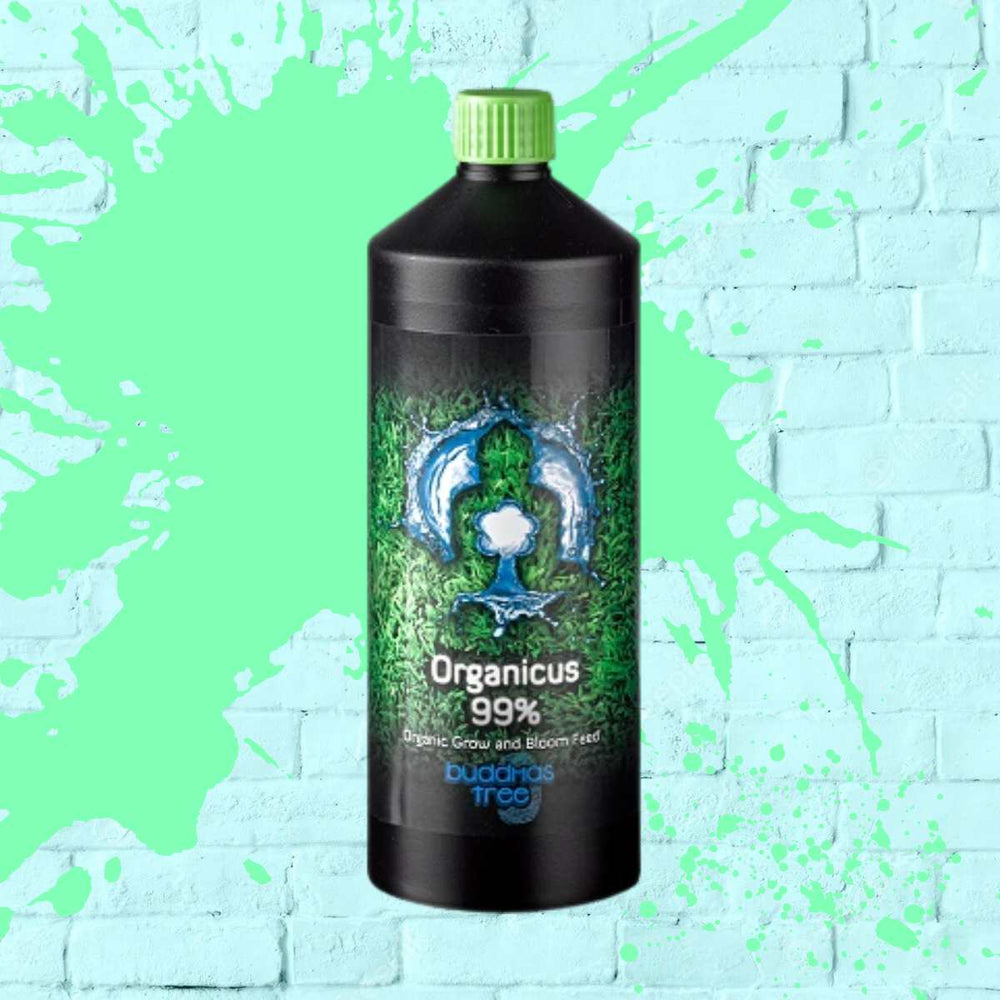 Organicus 99% - Buddhas Tree - Black Bottle - 1L