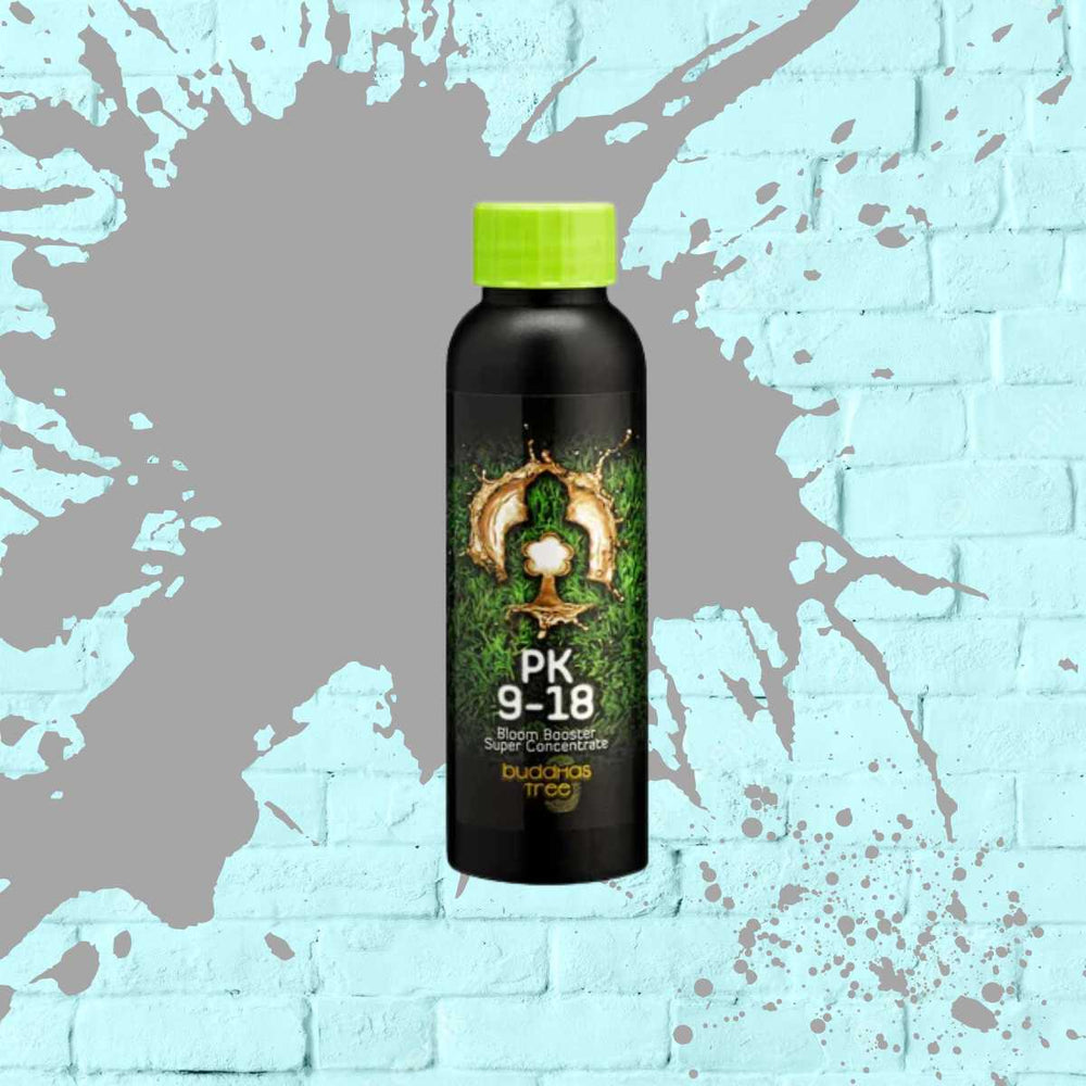 PK 9-18 - Buddhas Tree - Black bottle - 100ml