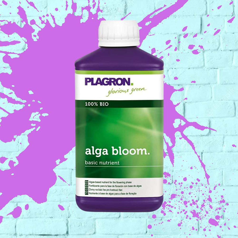 PLAGRON ALGA BLOOM purple bottle - 500ML
