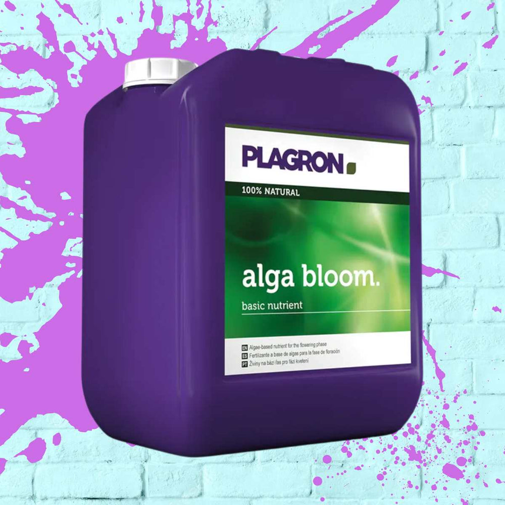 
            
                Load image into Gallery viewer, PLAGRON ALGA BLOOM purple bottle - 5L
            
        