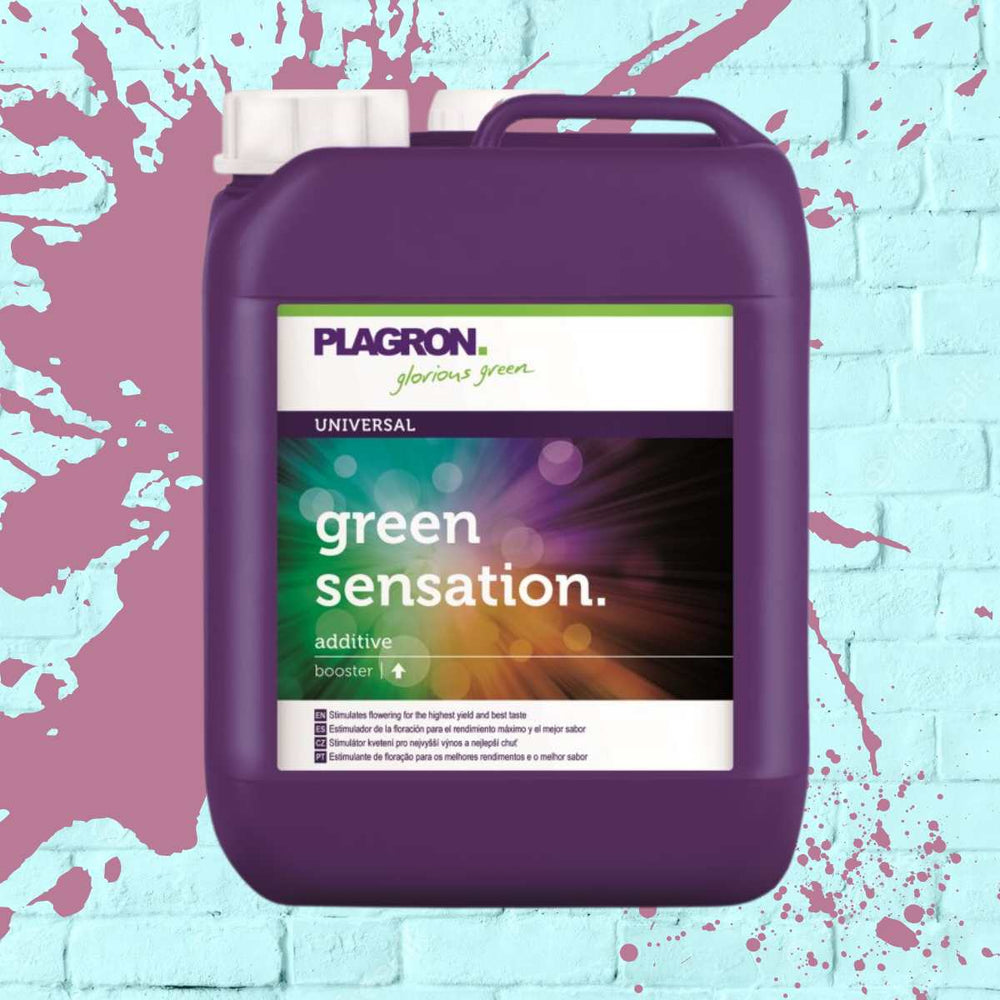 PLAGRON GREEN SENSATION - 5L