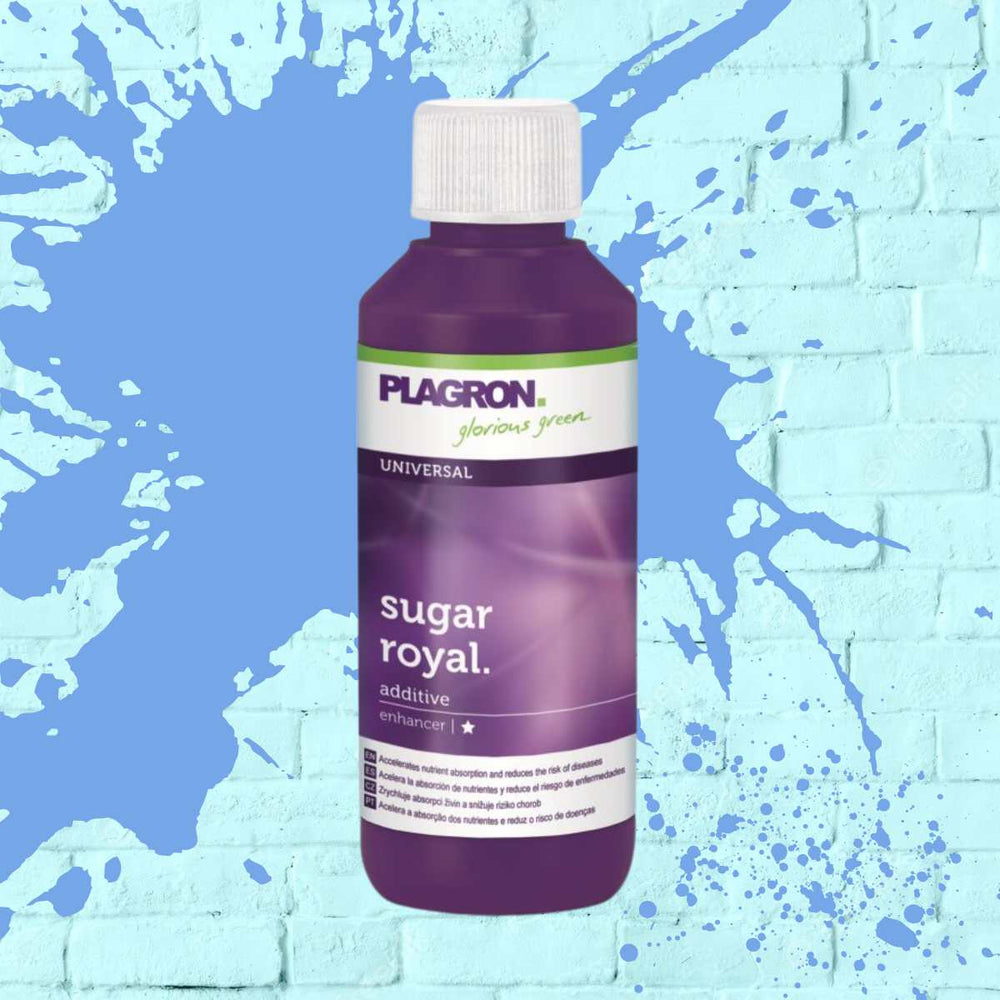 PLAGRON SUGAR ROYAL purple bottle - 100ML