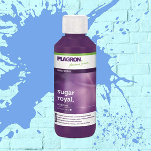 PLAGRON SUGAR ROYAL purple bottle - 100ML