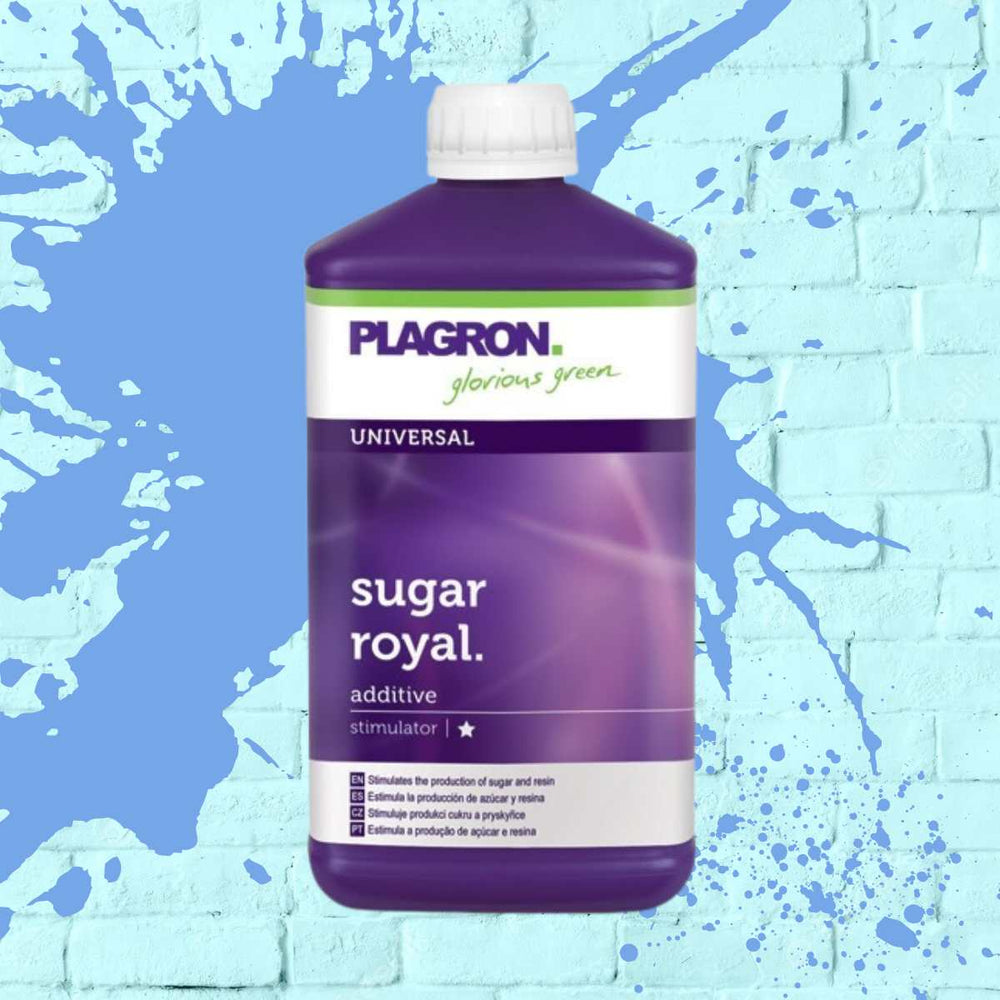 PLAGRON SUGAR ROYAL purple bottle - 1L