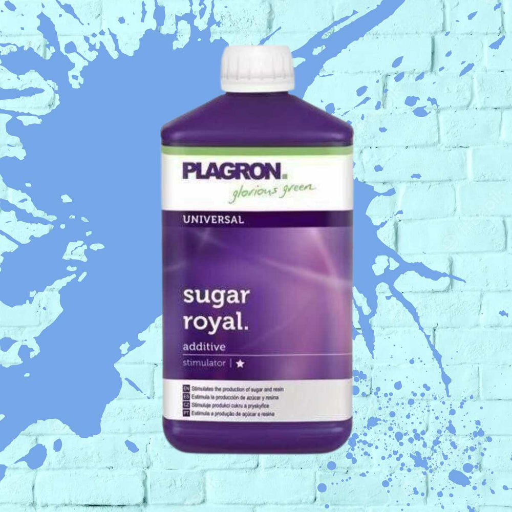 PLAGRON SUGAR ROYAL purple bottle - 500ML