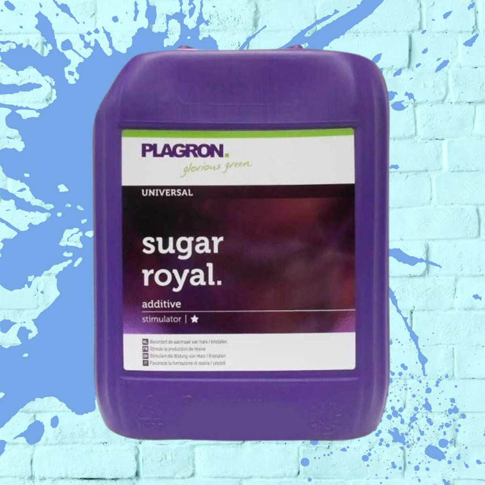 PLAGRON SUGAR ROYAL purple bottle - 5L