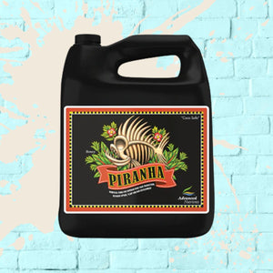 
            
                Load image into Gallery viewer, Piranha - Advanced Nutrients - black bottle - 4L
            
        