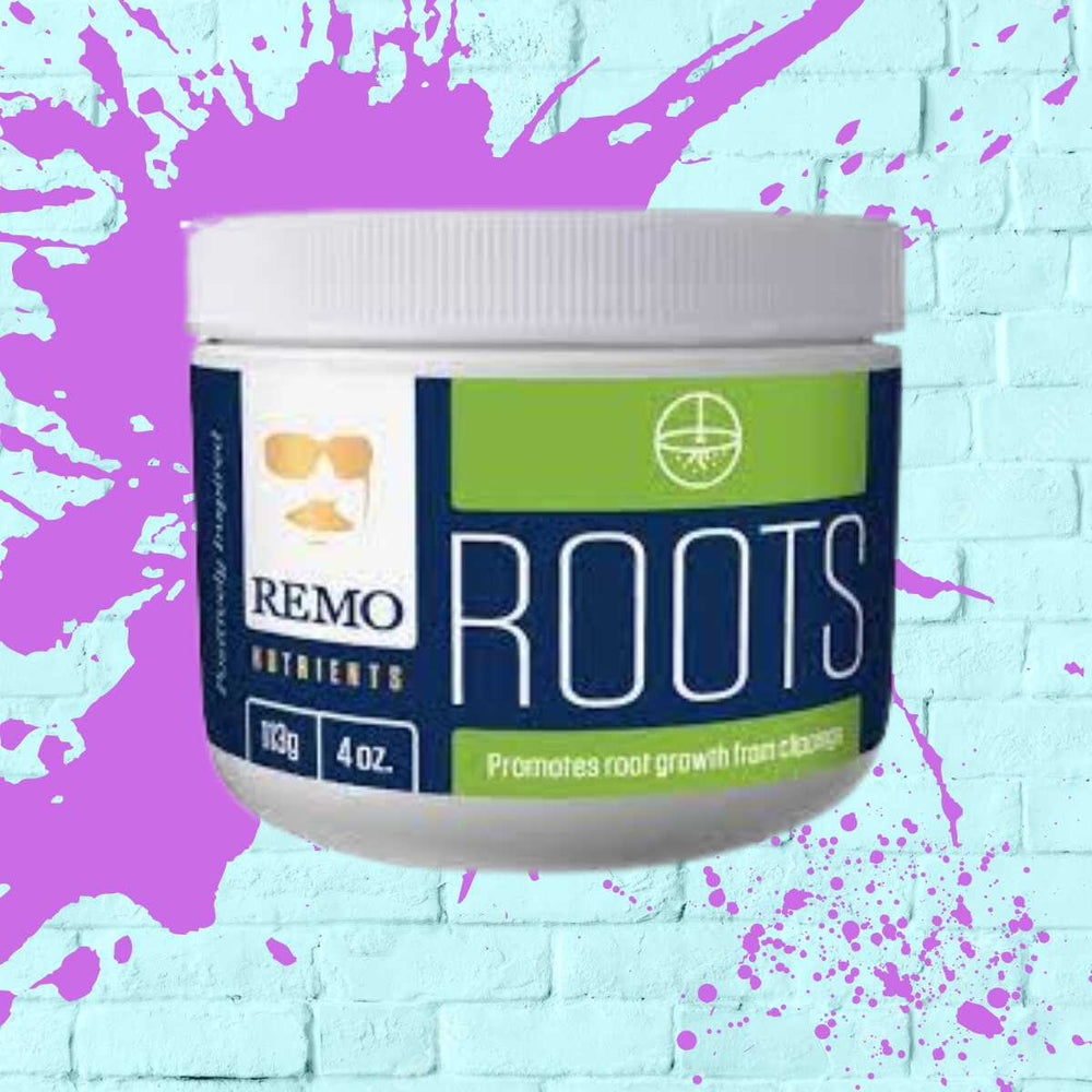 Roots Remo - White Tub