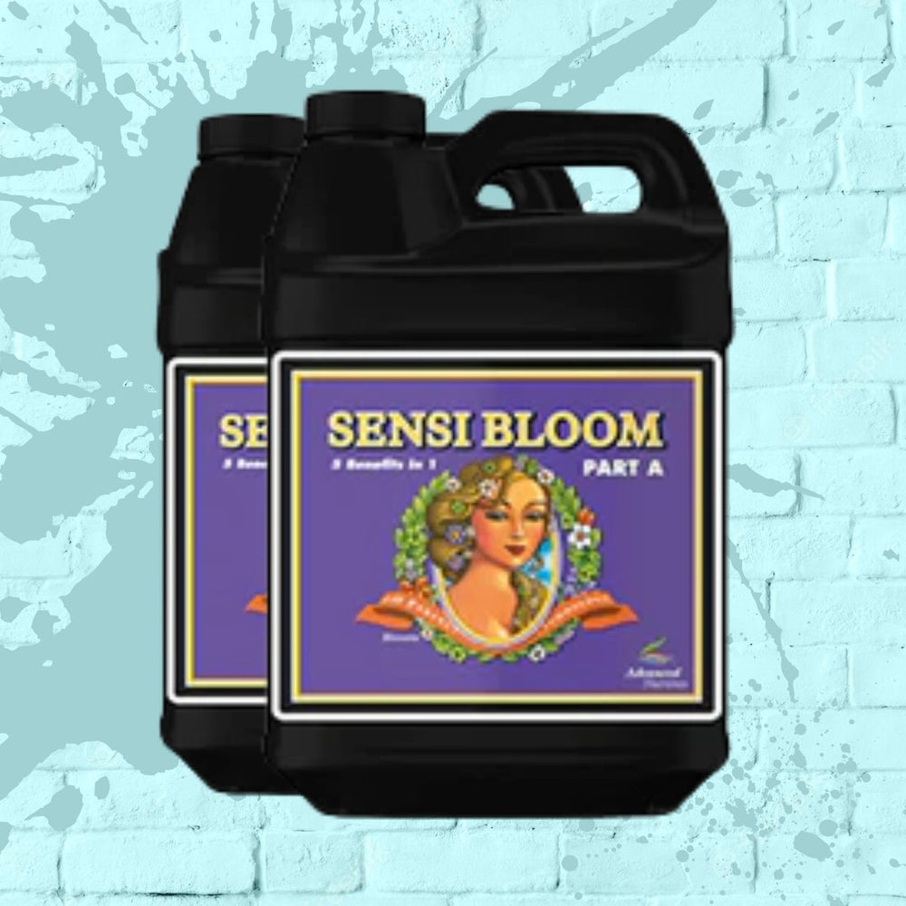 Sensi Bloom A & B - Advanced Nutrients - Black Bottle - 10L