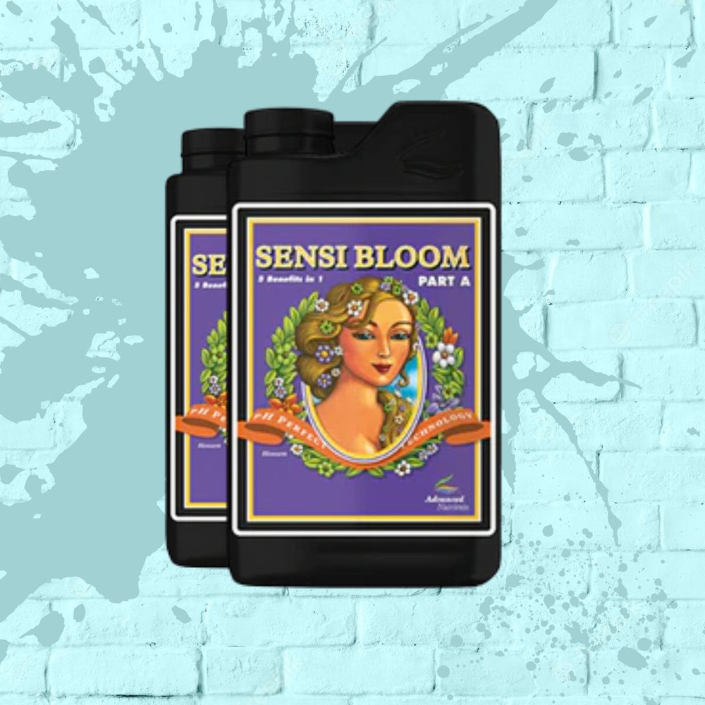 Sensi Bloom A & B - Advanced Nutrients - Black Bottle - 1L