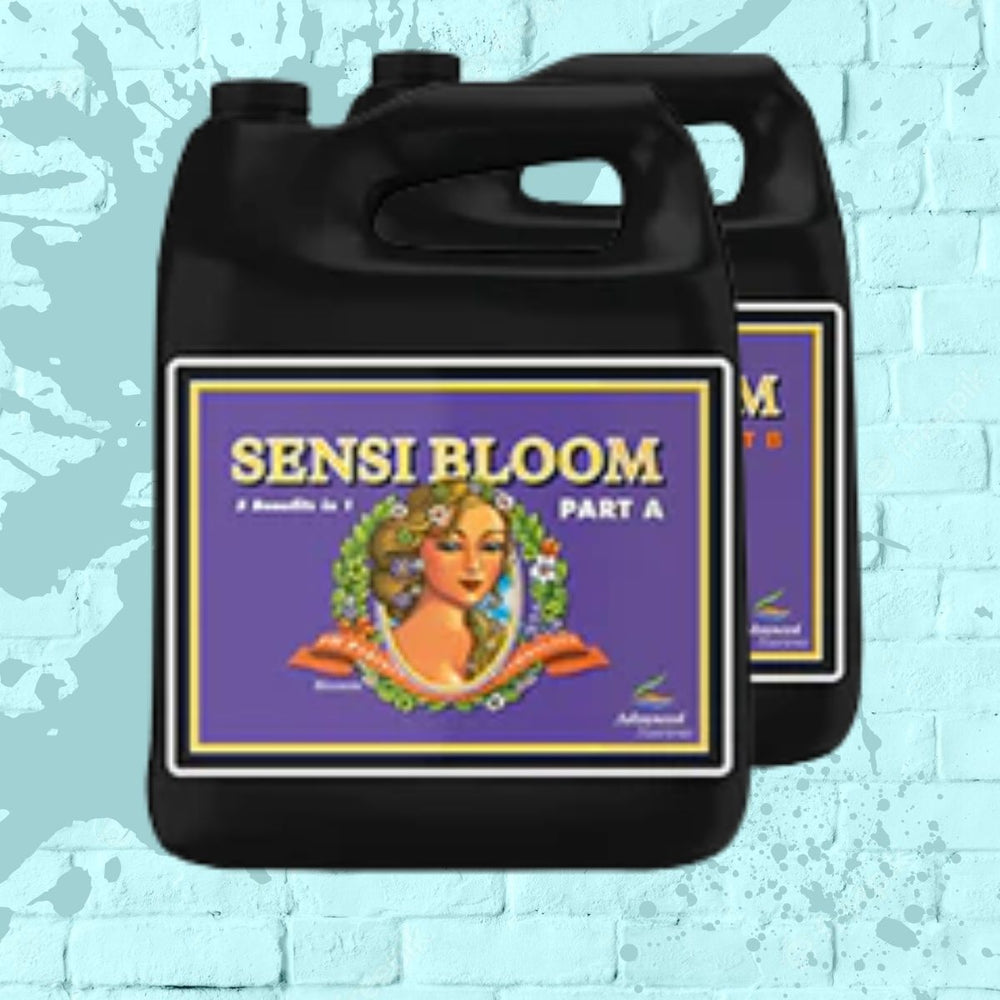 Sensi Bloom A & B - Advanced Nutrients - Black Bottle - 4L
