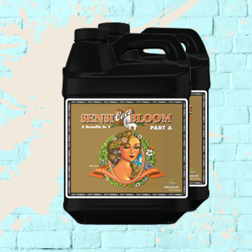 Sensi Bloom (Coco) A + B - Advanced Nutrients - Black Bottle - 10L
