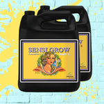 Sensi Grow A & B - Advanced Nutrients - Black Bottle - 4L