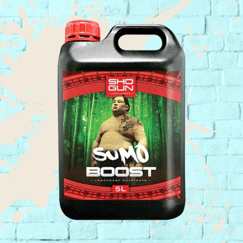 Shogun sumo boost black bottle 5L