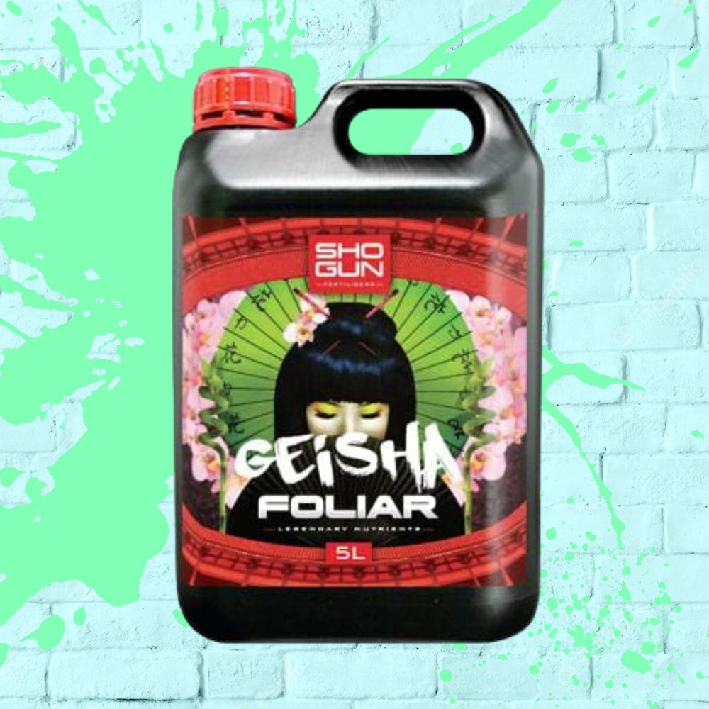 Shogun - Geisha black bottle 5L