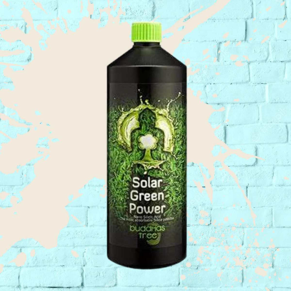 Solar Green Power - Buddha's Tree - Black Bottle - 1L