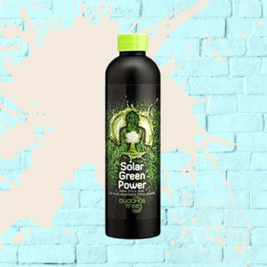 Solar Green Power - Buddha's Tree - Black Bottle - 250ml
