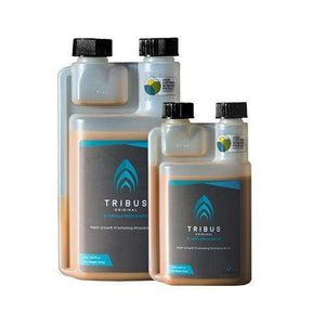 
            
                Load image into Gallery viewer, Tribus Original 100ml
            
        