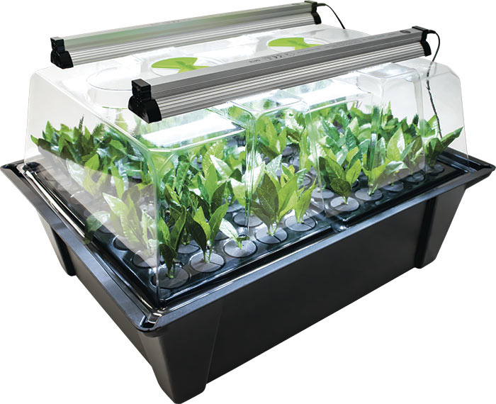 X-Stream Aeroponic Propagator V2 Unheated